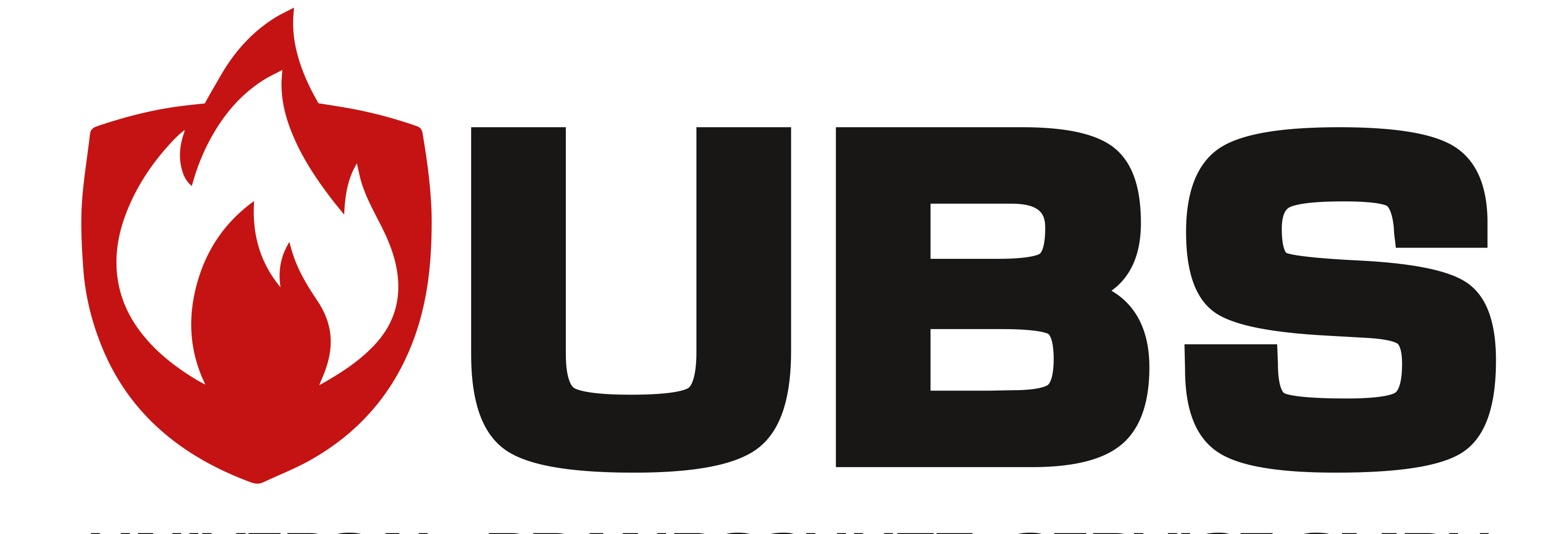 UBS Universal Brandschutz Service GmbH